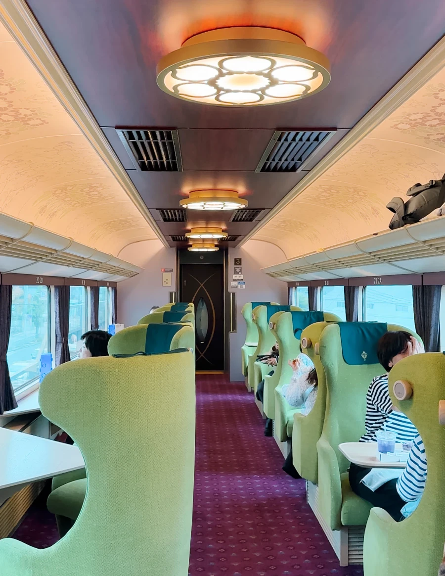 Train Between Kyoto and Nara: Aoniyoshi Limited Express Interior