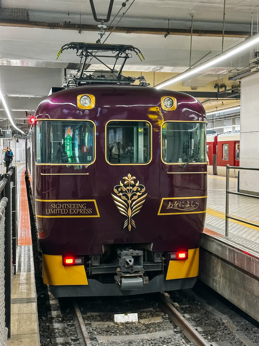 Train Between Kyoto and Nara: Aoniyoshi Limited Express in Kyoto Station, Japan
