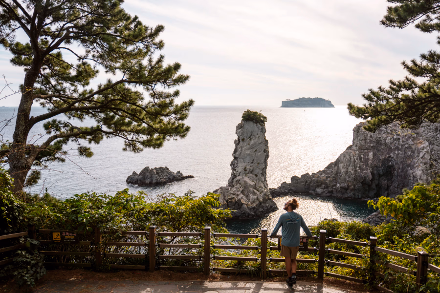 A man leaning on a railing in front of the ocean where Oedolgae Rock juts up above the water