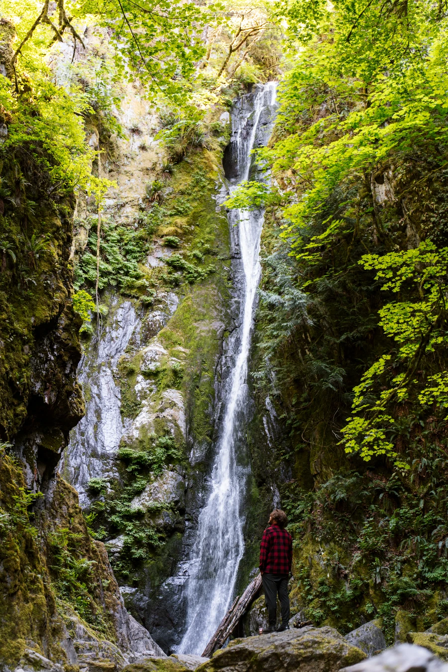 A man in a red flannel shirt stands on top of a rock in front of a tall and narrow waterfall pouring over a mossy cliff.