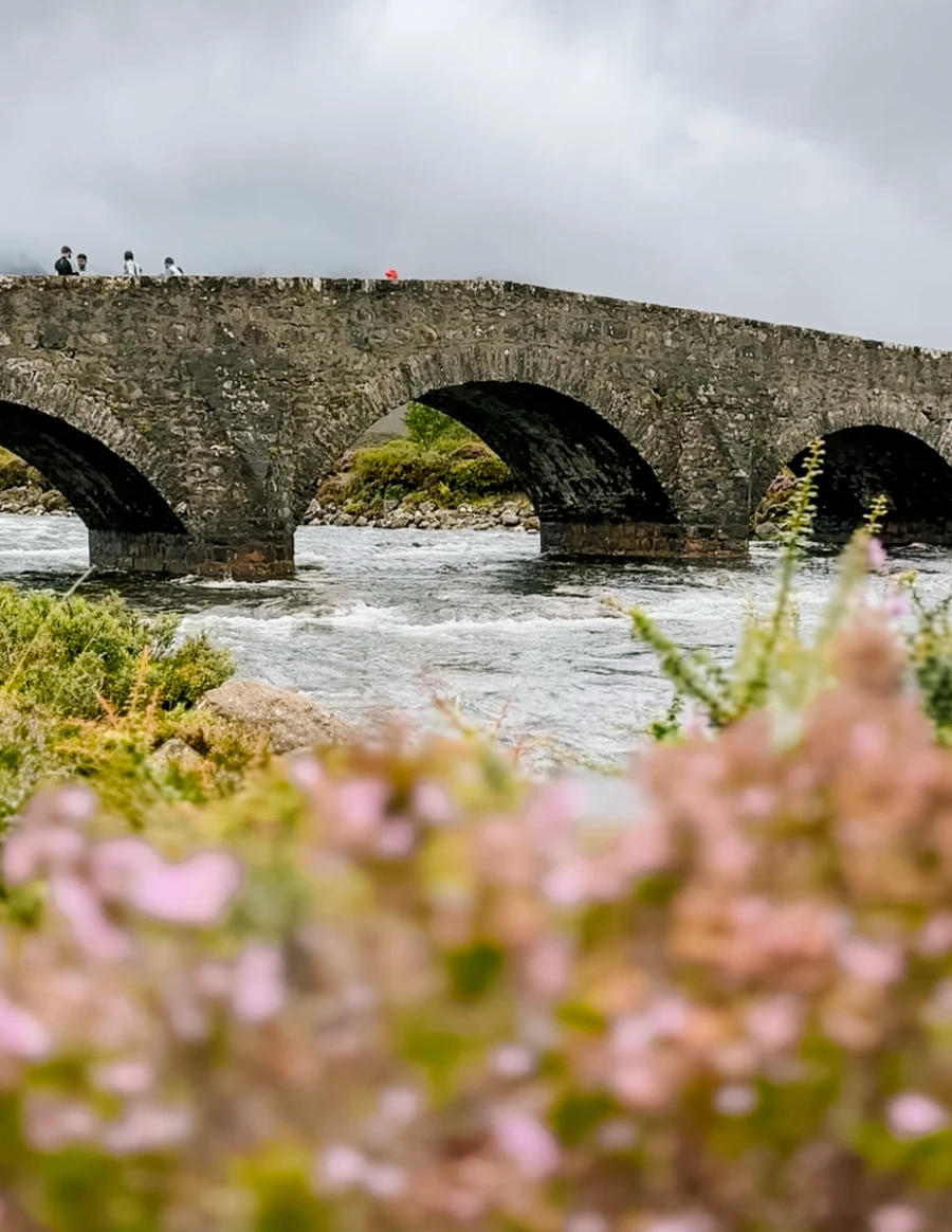 A large stone arched bridge crosses a shallow river framed by pink flowers