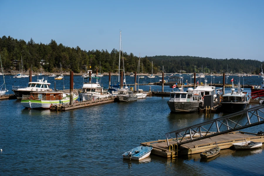 Multiple docks surrounded by forested coasts house dozens of docked sailboats on the coast of Salt Spring Island.