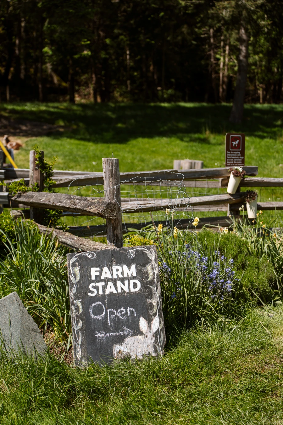 A chalkboard sign reads 'Farm Stand' with an arrow pointing to the right