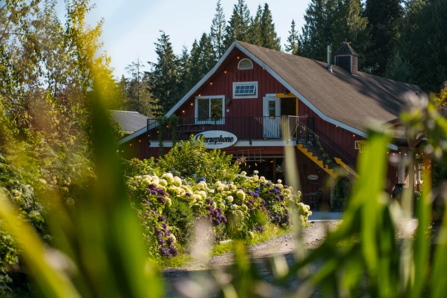 A red barn with a sloped brown roof framed by distant tall grass
