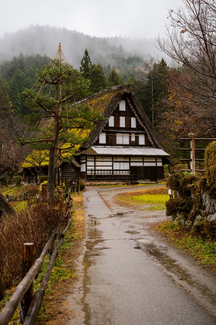 A paved path leads to a large A-fame house with thatched roof with grass growing on it