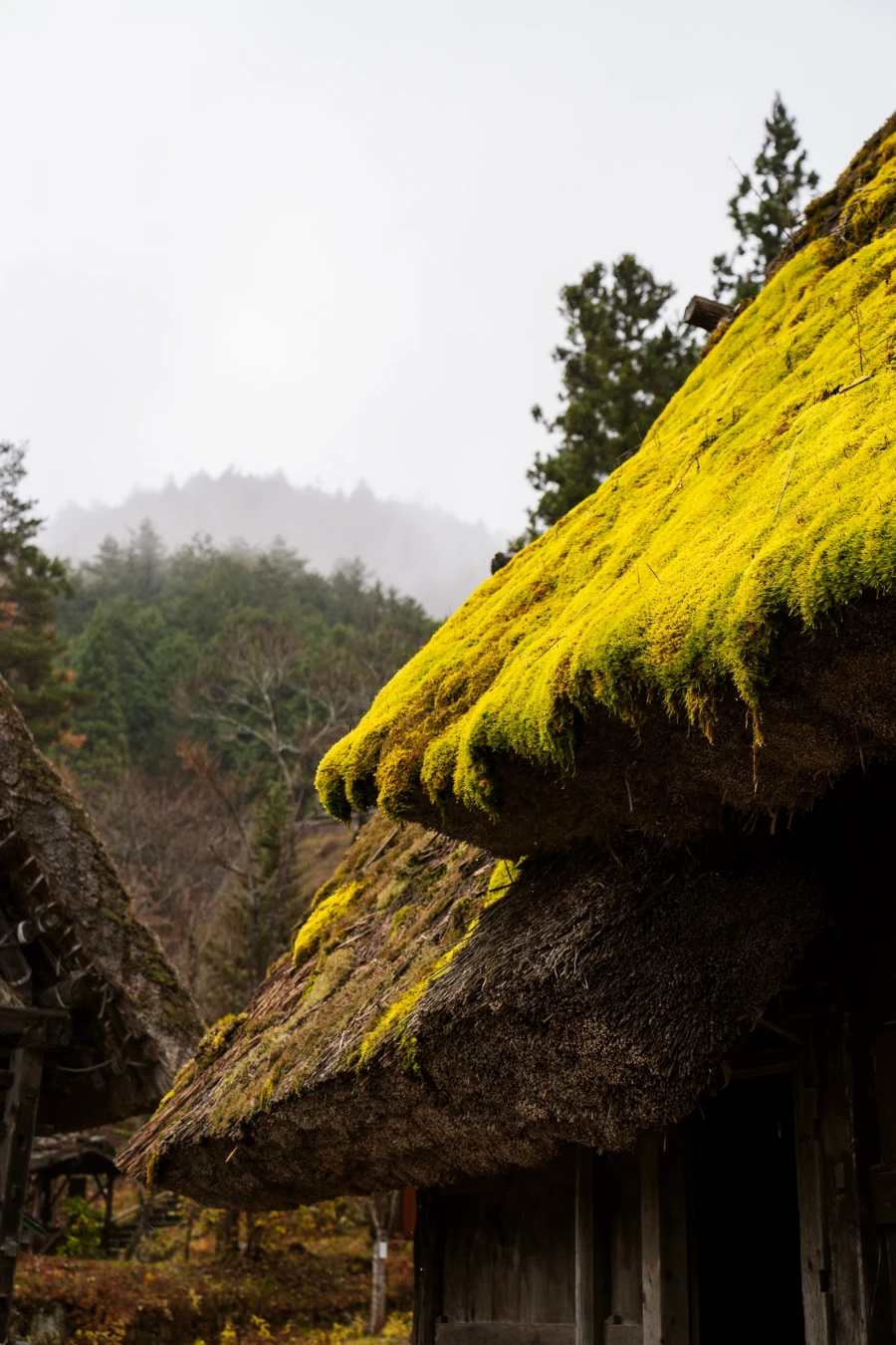 A grassy thatched roof of a traditional Japanese Village frames the snowy mountains in the distance