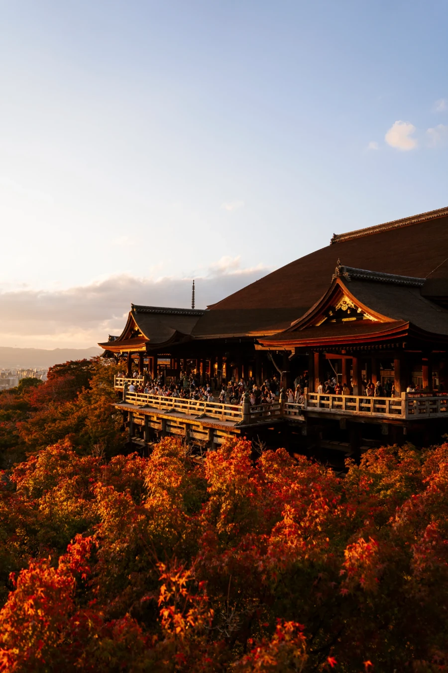 A sea of red fall foliage surrounds a busy Japanese temple in Kyoto, Japan