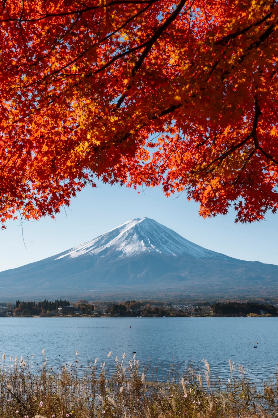 Mt. Fuji across a lake and framed by red leaves