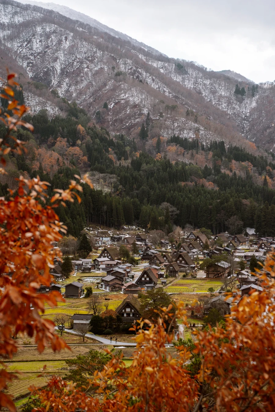 A village comprised of a few dozen traditional thatch roofed houses framed by red leaves