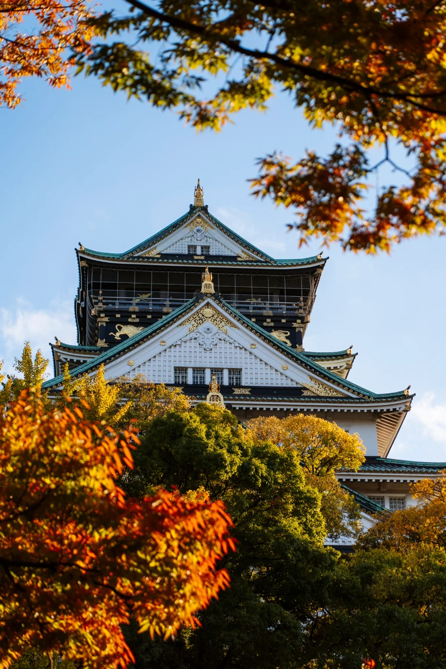 A white multi storied Japanese castle surrounded by autumn trees