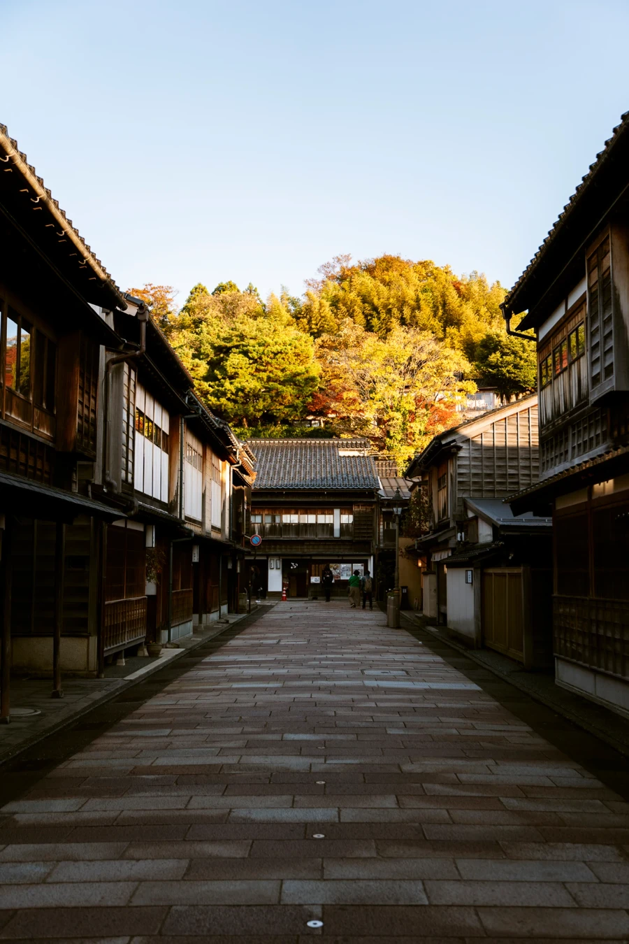 A stone street lined on both sides with traditional wooden Japanese homes