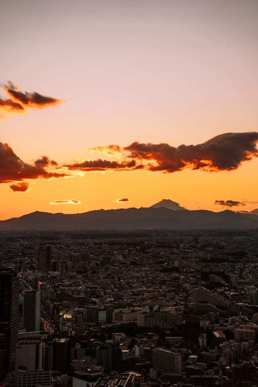 Mt fuji visible on the sunset horizon beyond the dark cityscape of Tokyo, Japan