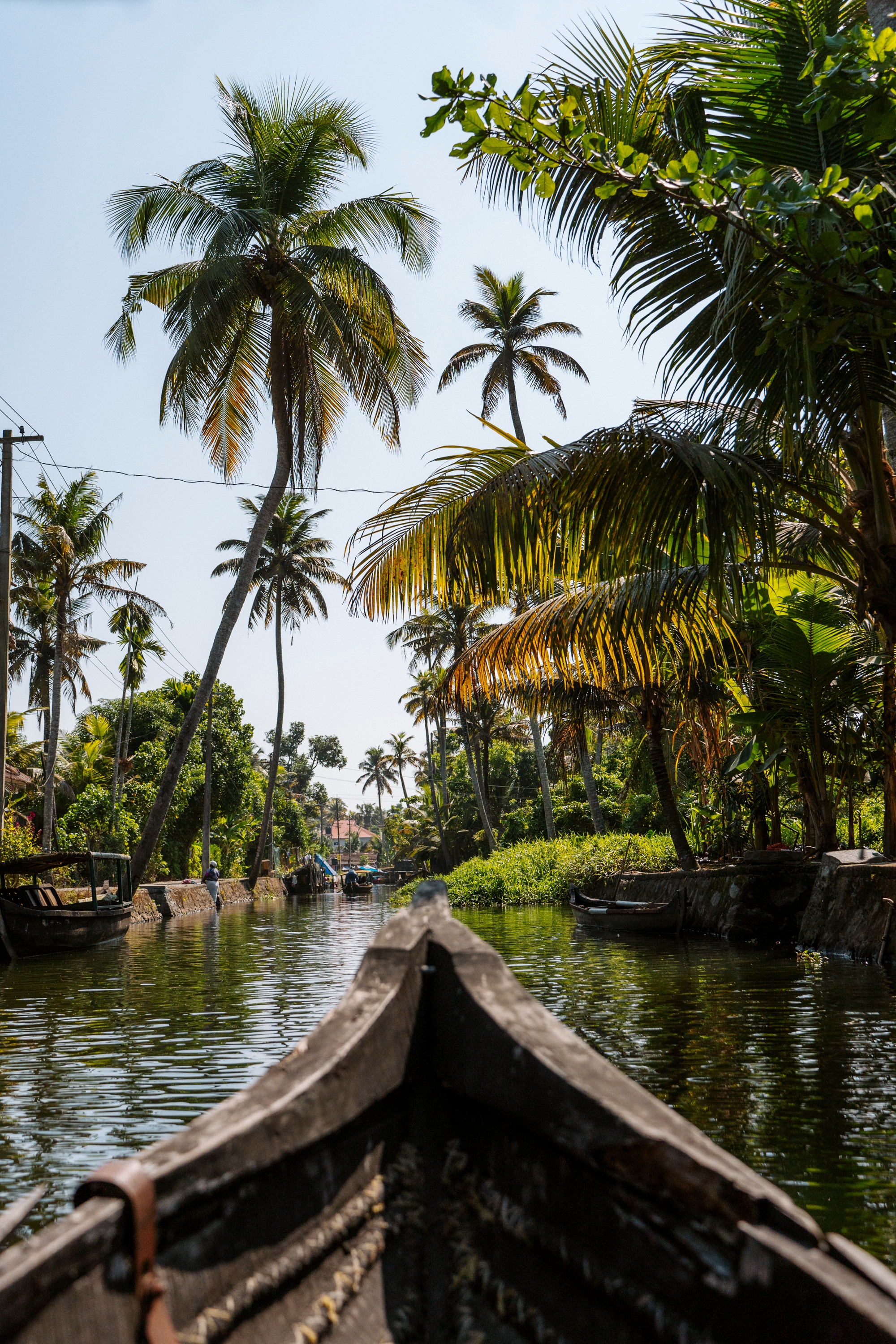 Alleppey Travel Guide: Everything You Need to Know About Kerala's Backwaters