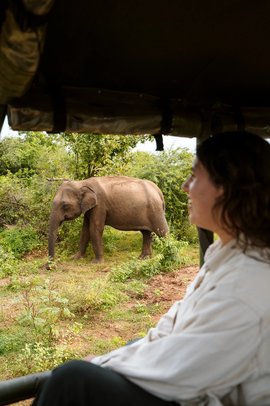 Woman looks at an elephant out of the side of an open air jeep