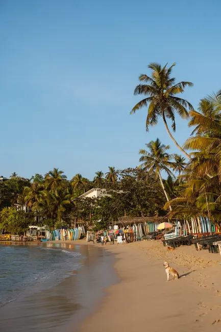 9 Best Things To Do Hiriketiya, Sri Lanka (2025 Guide)