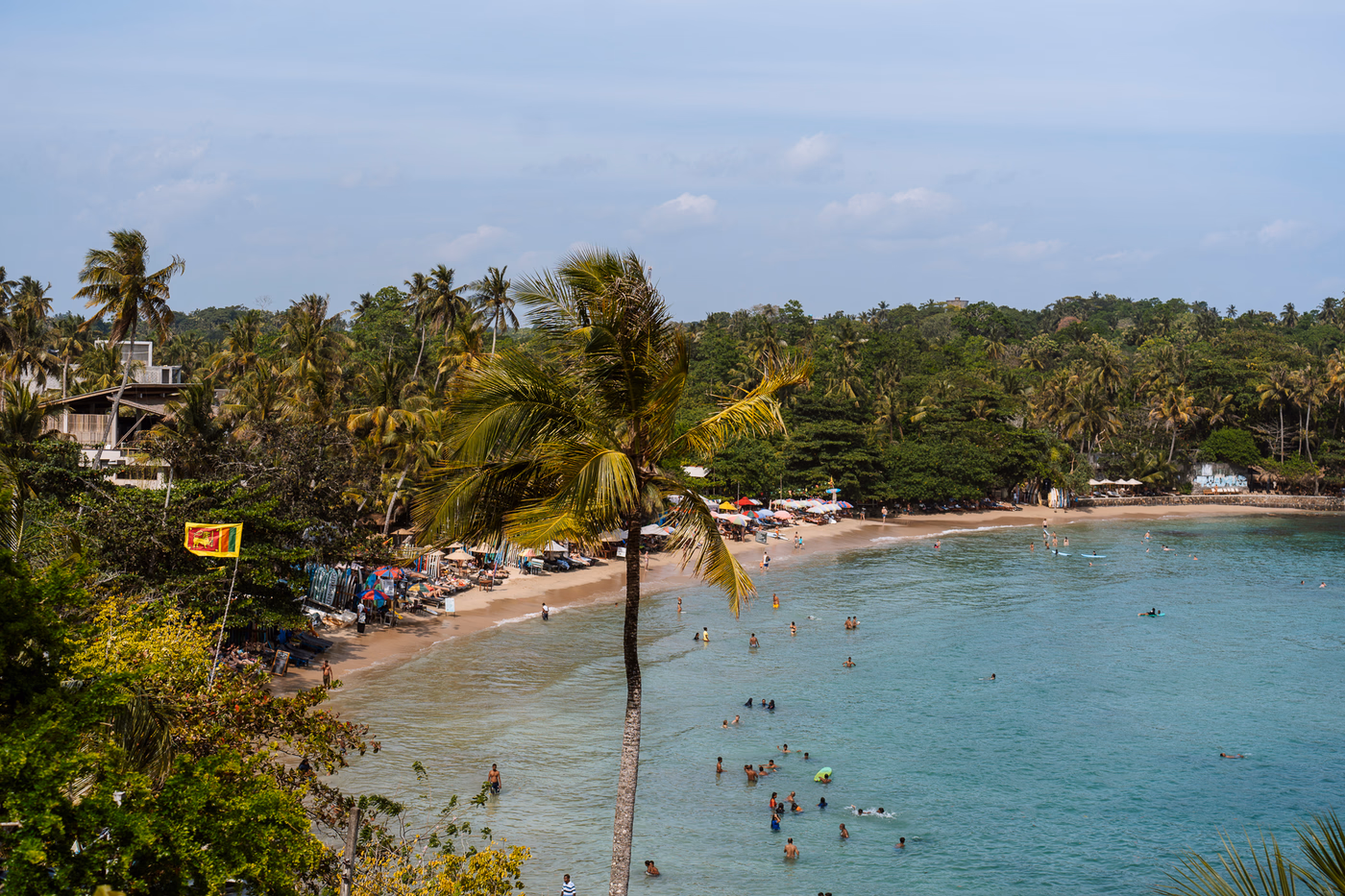 A crowd of people playing in the water of a palm tree lined beach