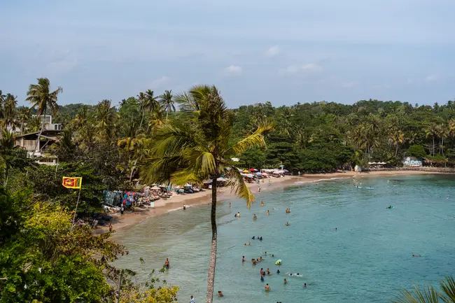 A crowd of people playing in the water of a palm tree lined beach