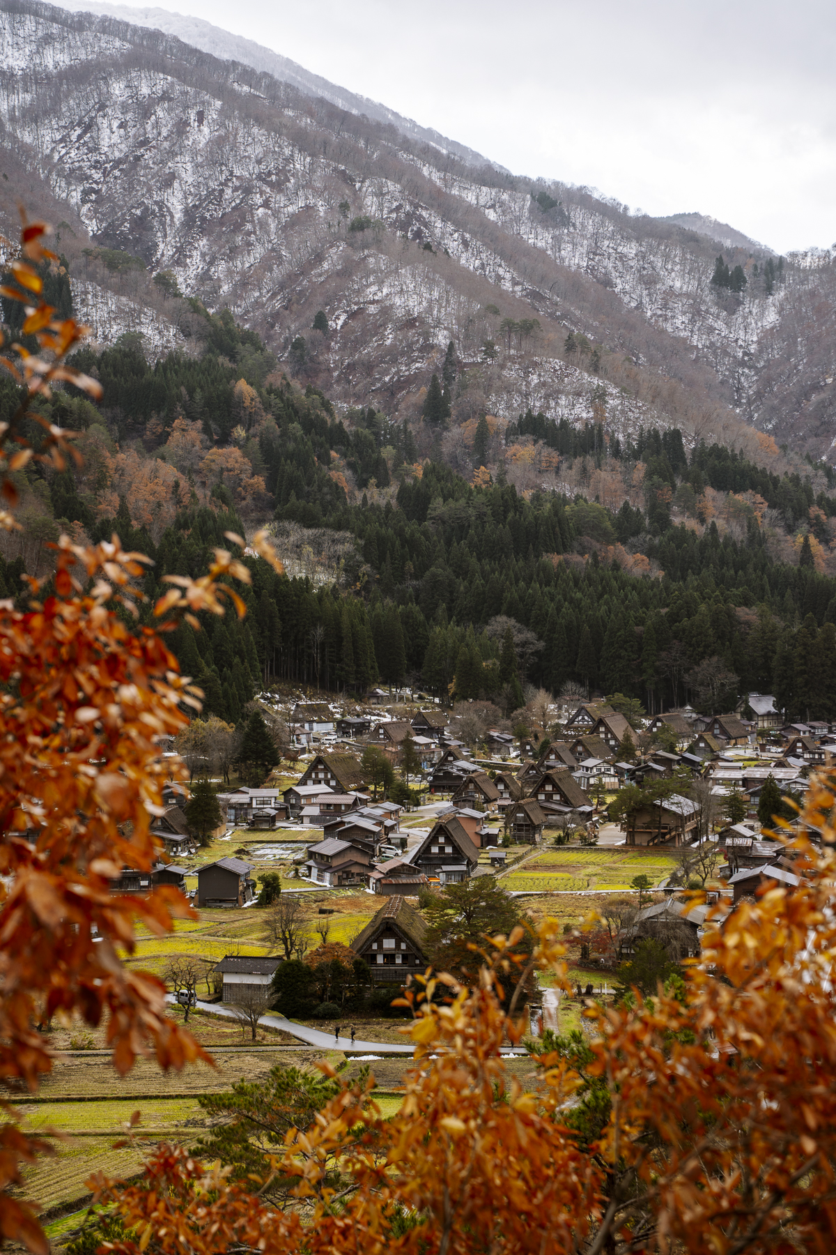 Is Shirakawago Worth Visiting? Japan's Fairy Tale Village (Honest 2025 Guide)