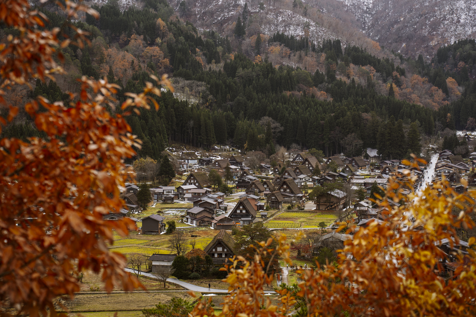 Red foliage frames a traditional Japanese village with snowy mountains in the back ground