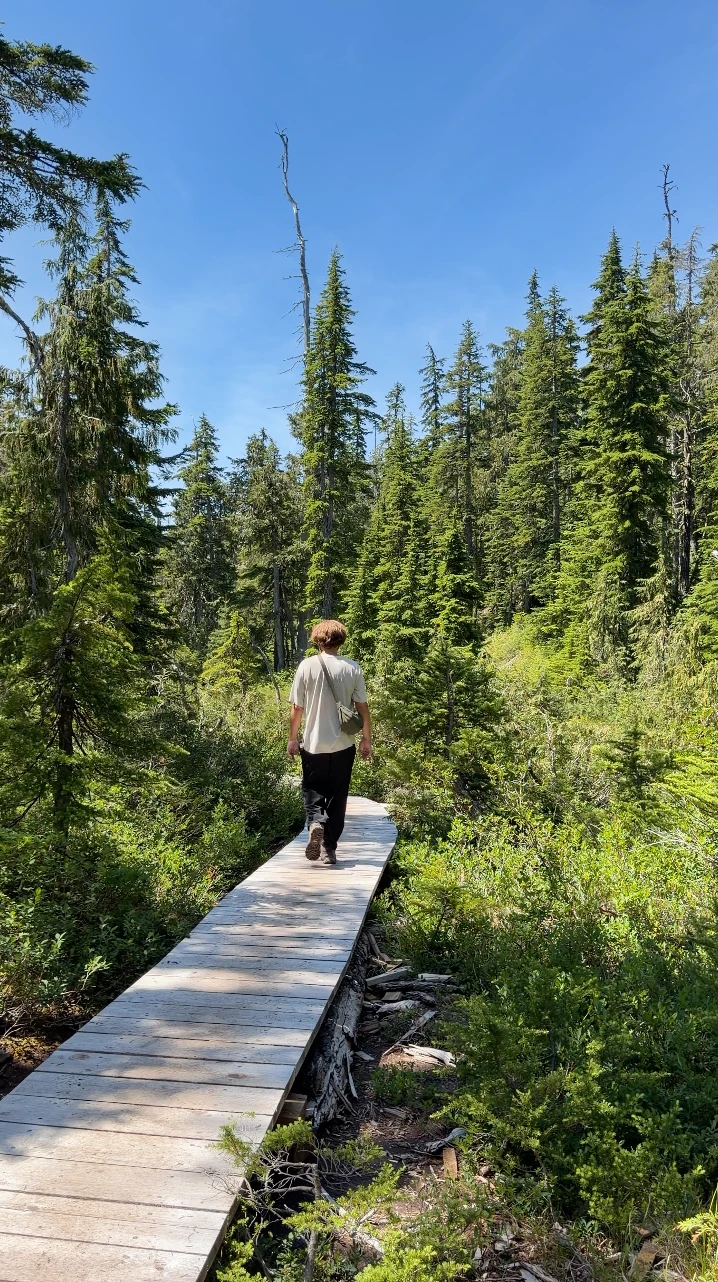 A man walks along a narrow boardwalk surrounded by lush green bushes and evergreen trees