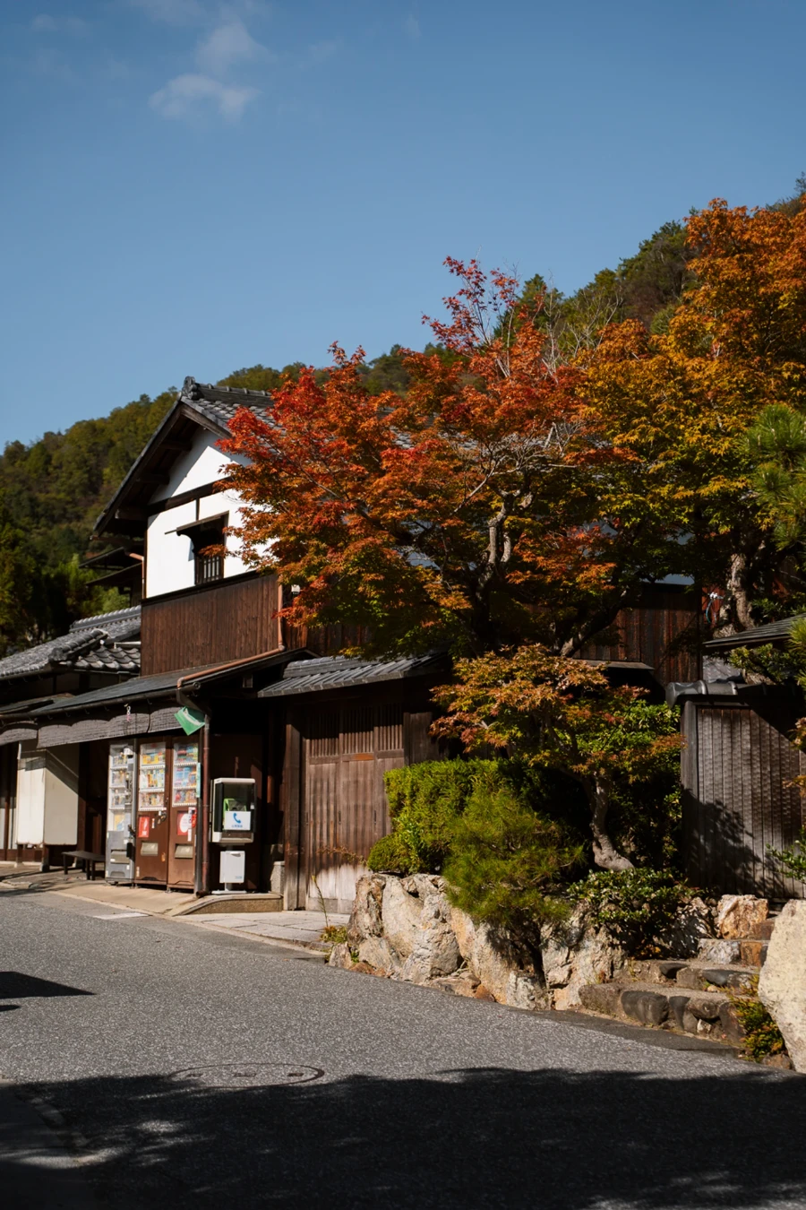An empty street lined with wooden houses and red leafed trees
