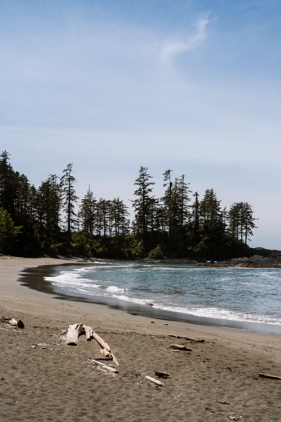 A crescent-shaped sandy beach with driftwood littered across the shore, gentle waves lapping, and a rocky forested cliff making a natural border at the far end.