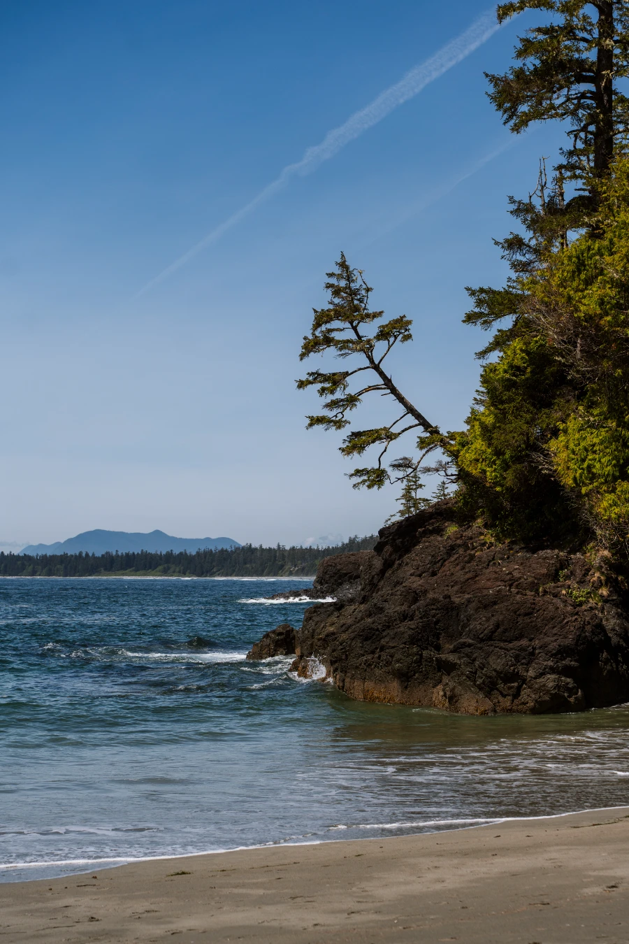 A tree growing sideways out of a rocky outcrop so that it hangs over the sea to at the end of a sandy crescent shaped bay