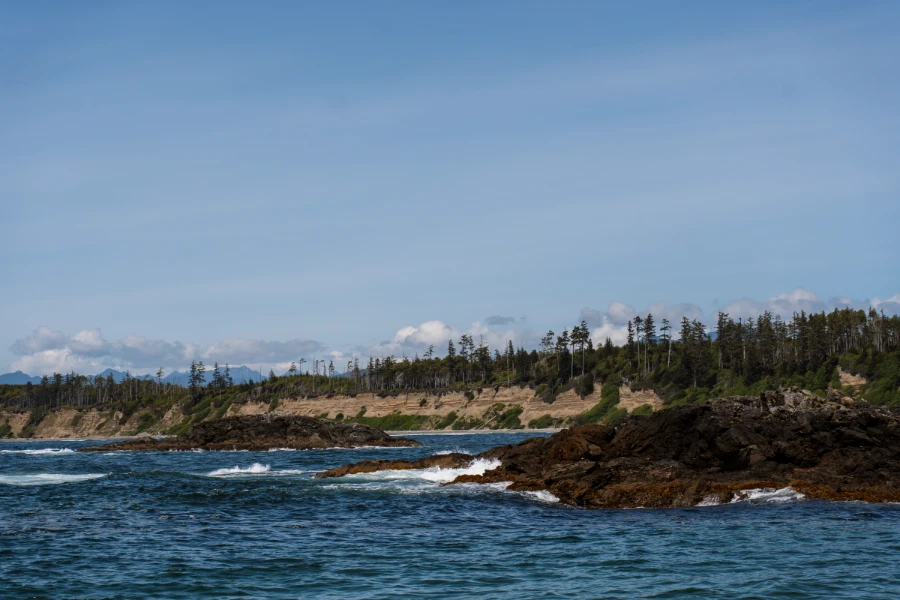 Massive Sandstone cliffs tower over a long curved bay near Tofino
