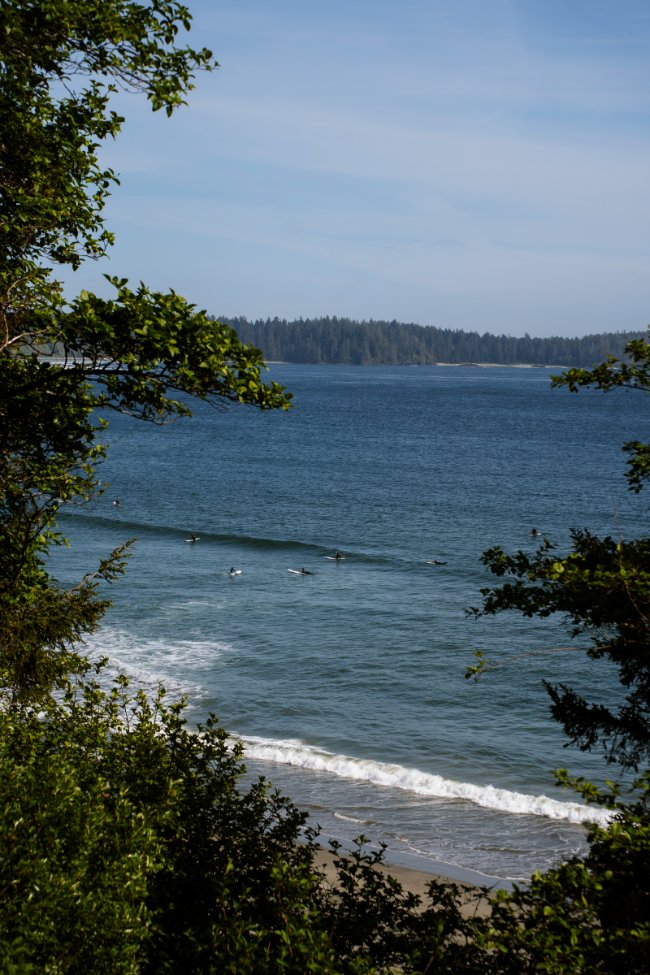 The Best Beaches in Tofino: Your Complete Guide to Vancouver Island's Wild Coast (2026)