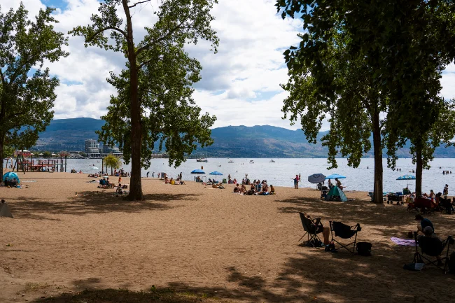 A large sandy beach with several groups of people in camp chairs set up along the beach under the shade of a few sparse trees and a playground in the distance