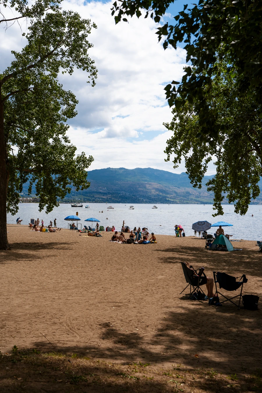 Two trees cast limited shade onto Rotary Beach Park in Kelowna as several groups lounge on the beach on camp chairs and lying on towels