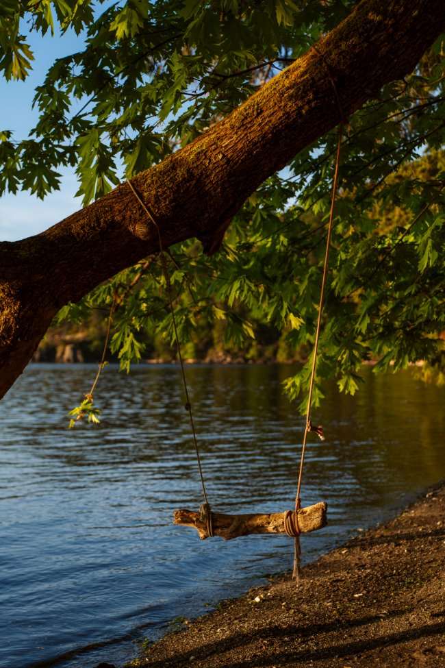 The Best Beaches on Salt Spring Island: An Honest Guide To a Salt Spring Beach Hop