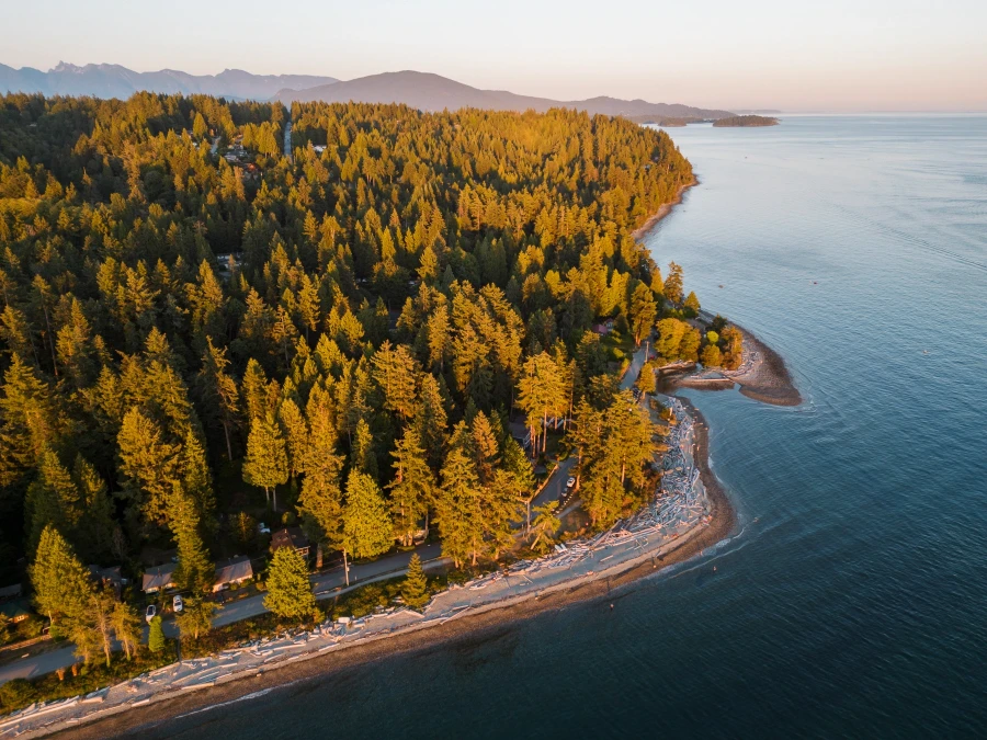 Sunset light hitting the trees that line the sandy beaches of Bonniebrook Beach near Gibsons, BC