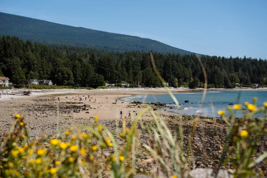 Row of cottages dotted amongst the trees along Robert's Creek Beach
