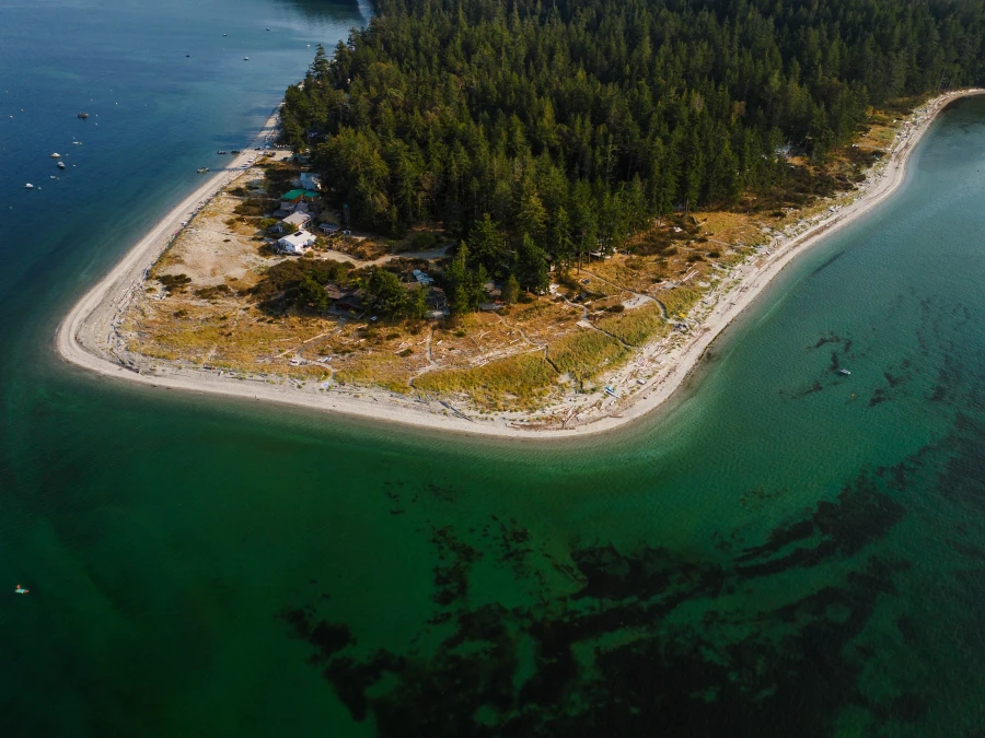 The many trees and few cabins along Indian Point on Savary Island, BC
