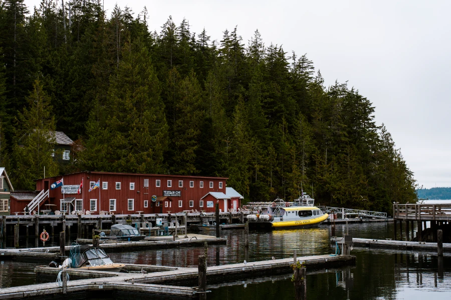Several boats docked along wooden docks next to a boardwalk where several wooden building are attached and backed by a thick forest in Telegraph Cove
