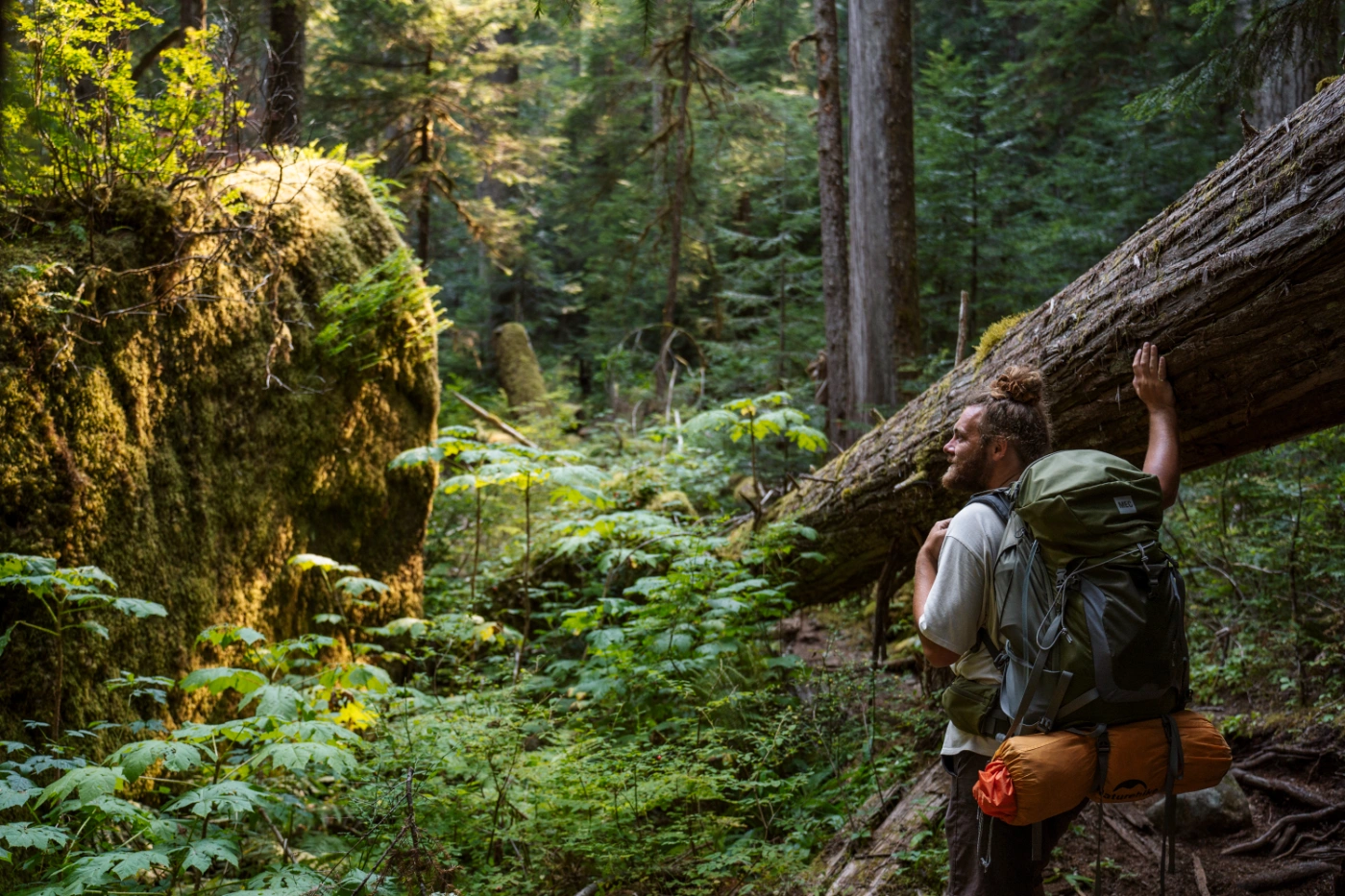 A man with a large backpack with a tent strapped to it stands with his hand on the trunk of a fallen tree, surrounded by ferns and dense forest
