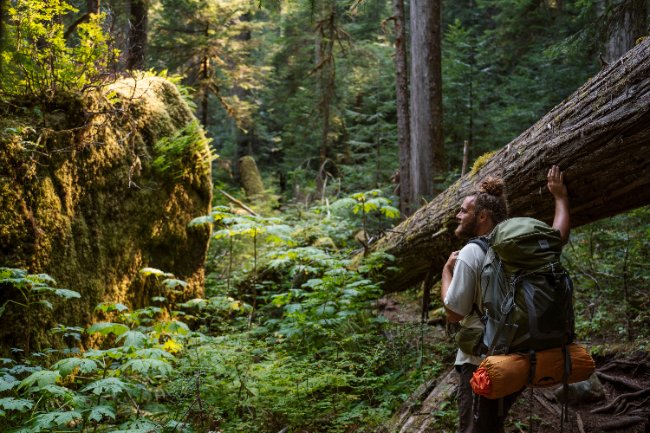 10 Best Destinations on Vancouver Island (2026 Guide)