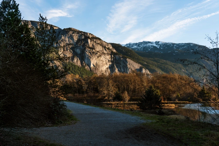 A wide and shaded gravel path bends around a patch of trees and leads to the bare granite face of Stawamus Chief glowing in golden sunset light.