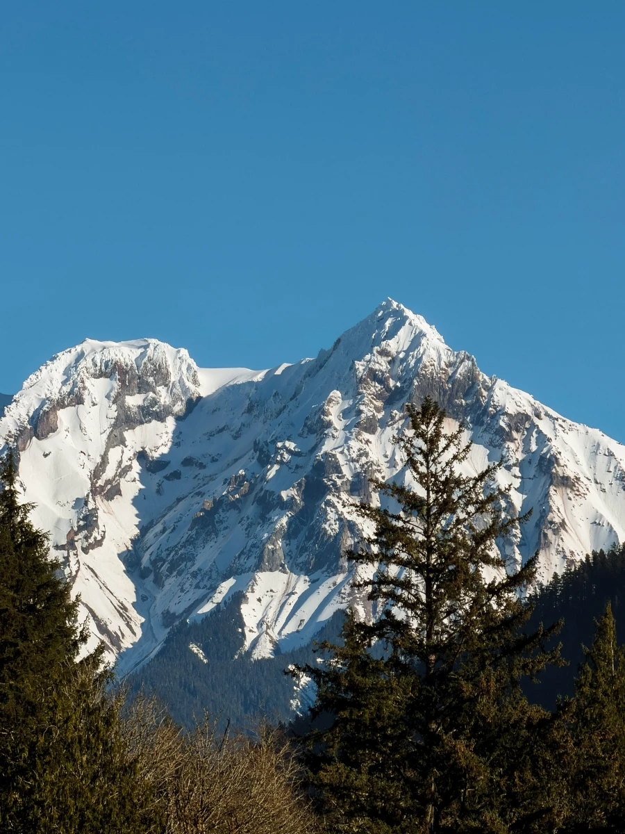 A distant snow-covered mountain peak is framed by smaller tree-covered hills