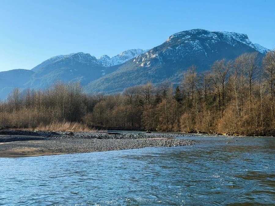 A slow-moving river meanders past a rocky island and a treelined shore