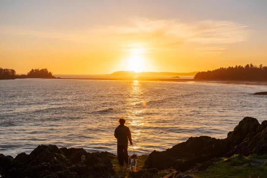 A man and a dog stand on a rocky outcrop above the ocean looking out to the warm glow of the setting sun hovering on the horizon
