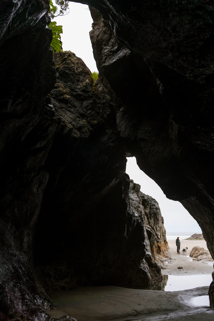A man and a dog walk together through a beach cave on Chesterman Beach in Tofino