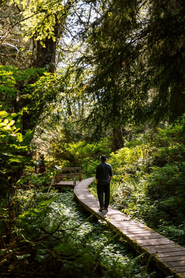The 21 Best Hikes and Trails in Tofino (From Someone Who's Done Them All - 2026 Guide)