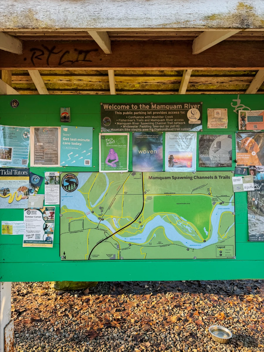 A bulletin board at the trailhead for the Mamquam Spawning trail has a large trail map and around a dozen small posters advertising local businesses