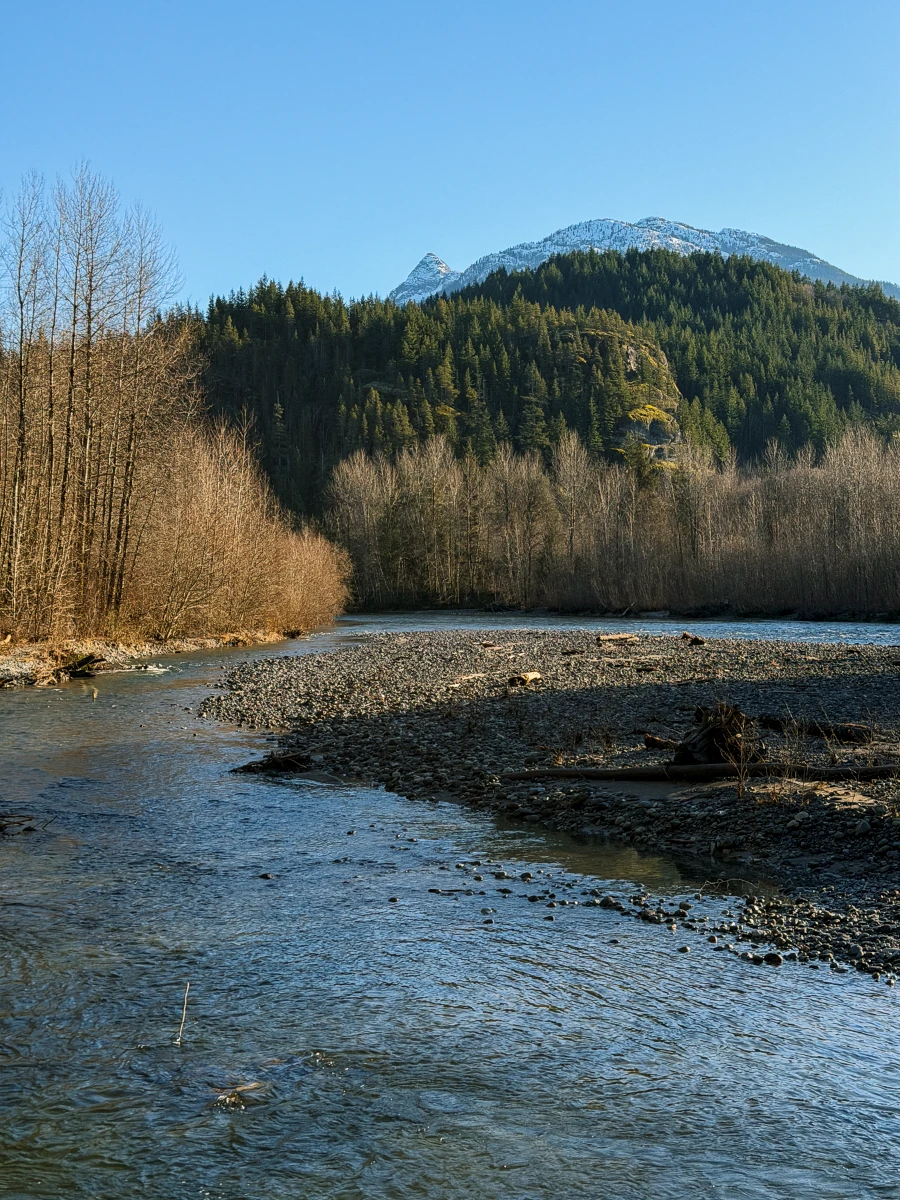 A slow-moving river meanders past a rocky island and a treelined shore