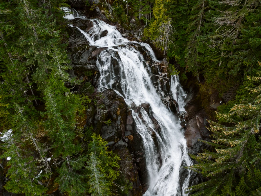A huge surge of frothy white water tumbles down a steep rocky section lined on both sides by lush forest at Crooked Falls, Squamish