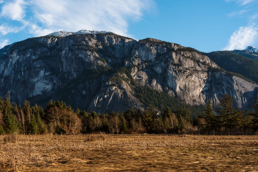 The bare granite face of Stawamus Chief mountain towering over a field of dried swamp grass
