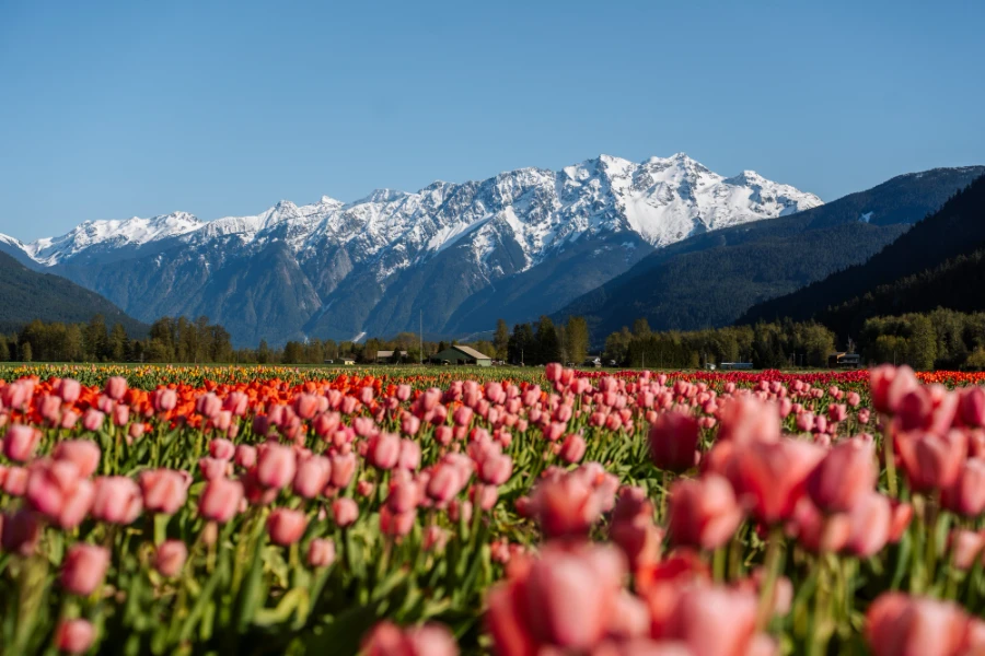 Image related to best stops vancouver to banff
