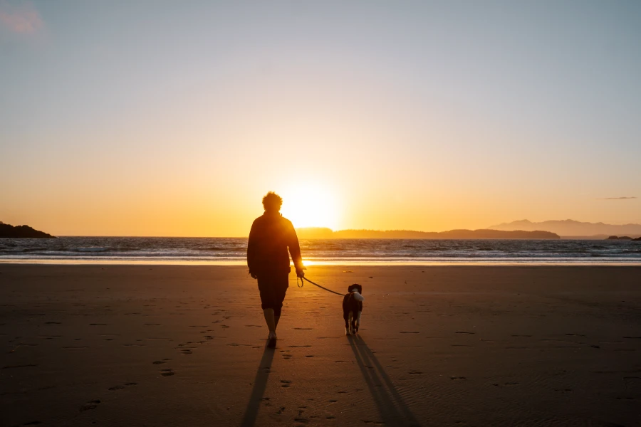 A man walks next to a dog along a flat sandy beach towards a warm glowing sunset